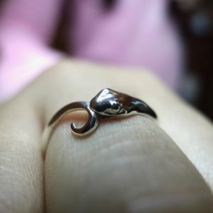 Snake Ring | Ouroboros -488